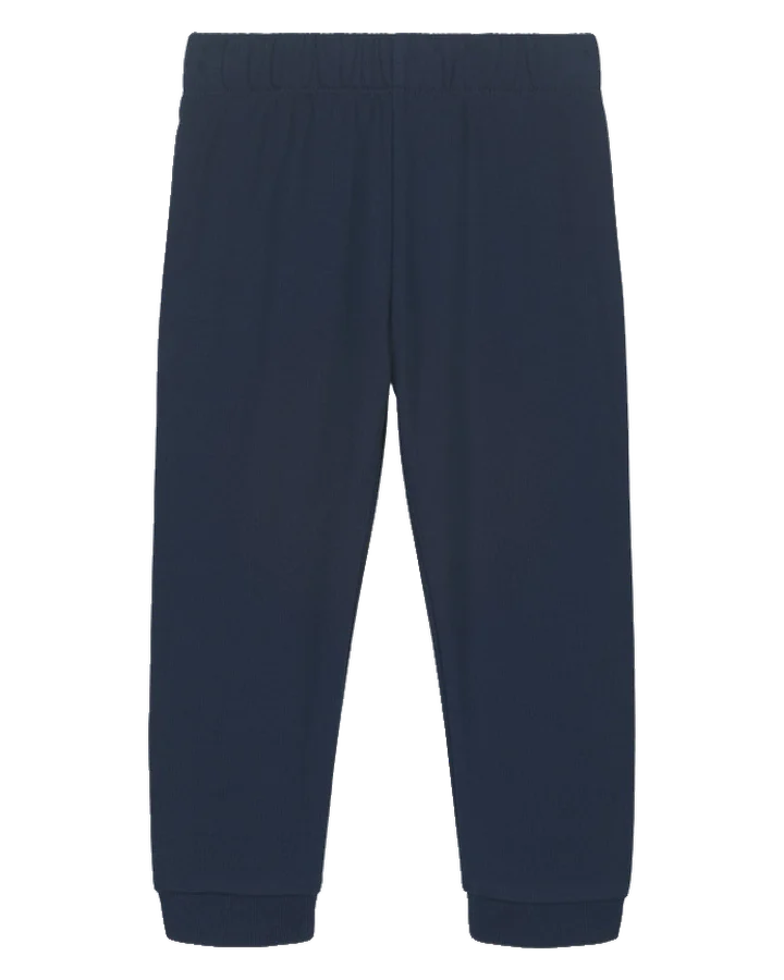 French Navy