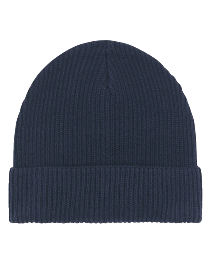 French Navy