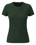 Bottle Green