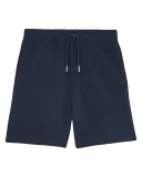 French Navy